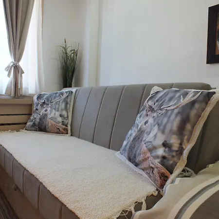 Apartment Konaci *
