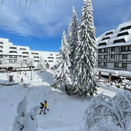 Konaci Apartment *