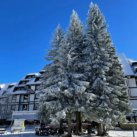 Konaci Apartment Kopaonik